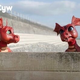 Dreigiau Cadi - Cwmni Dron's Gogledd Cymru